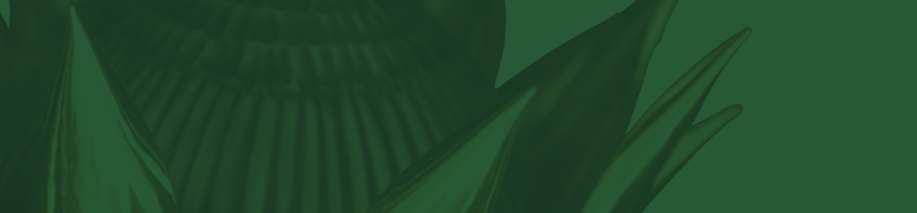 Screenshot 2023-08-25 074530